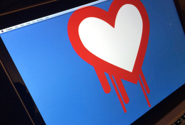 Vunerabilities such as Heartbleed can leave organizational data wide open to hacks.