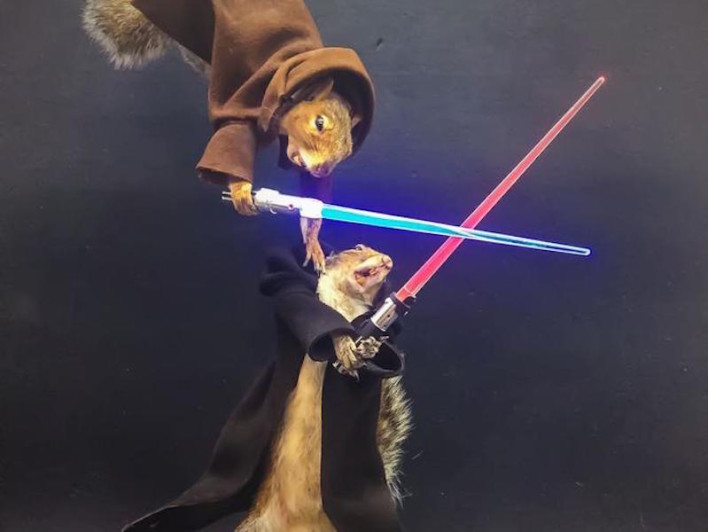 Check Out These Jedi Squirrels With Lightsabers!