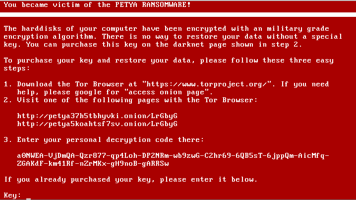Petya ransomware spread rapidly through networks using Microsoft Windows.