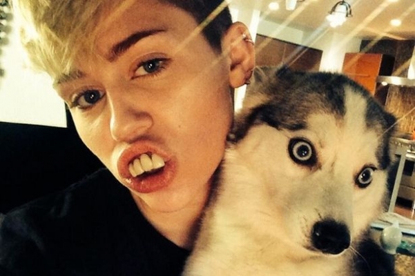 The dog's face says it all - not a good look Miley Cyrus