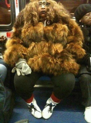 Who knew Yogi Bear took the Subway?