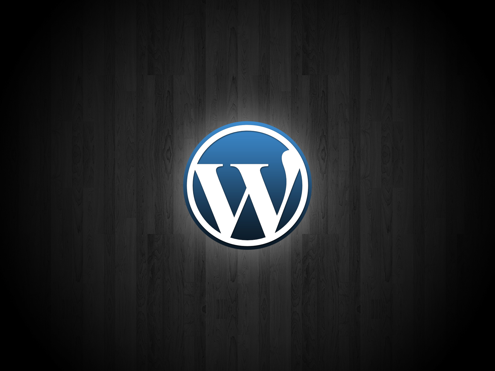 Introducing WordPress Business Accounts