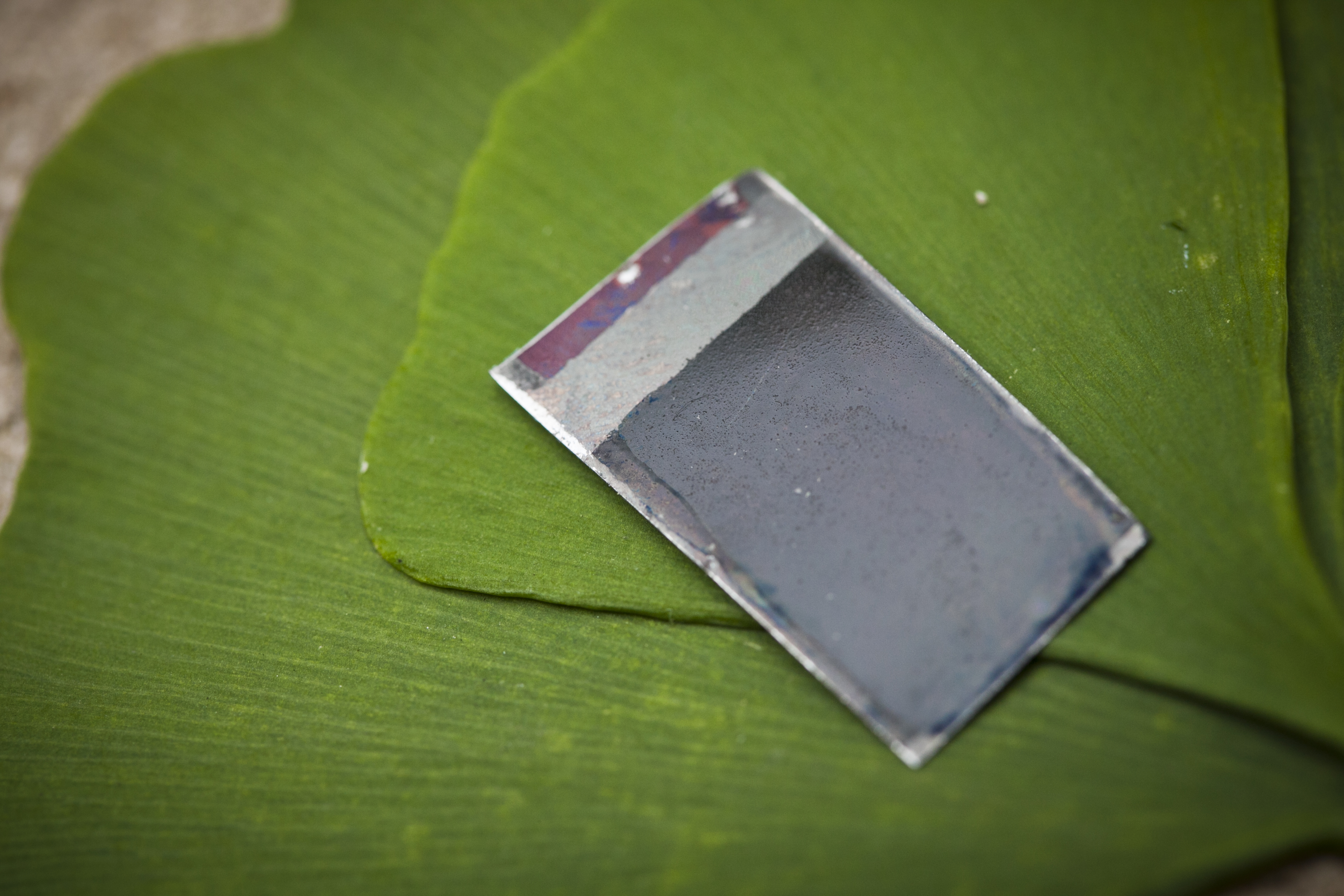 Can Artificial Leaf Solve Impending Power Crisis?