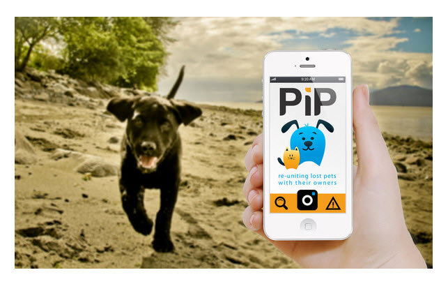 PiP Facial Recognition For Pets And Owners