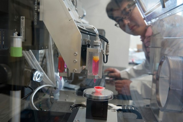 Miniature 3D Printed Organs Used For Testing Vaccines