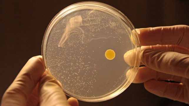 3D Printing Bacteria Could Help Fight Drug-Resistant Bugs