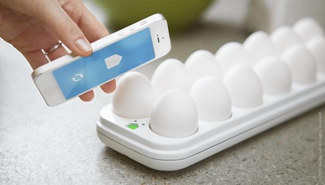 Keep Your Eggs Fresh With The Egg Minder