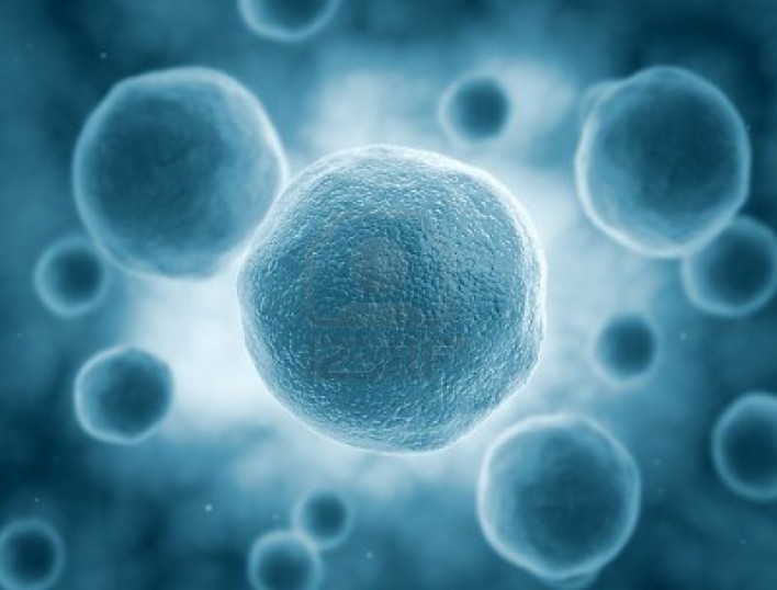 Scientists Successfully Control Nanomotors In Human Cells