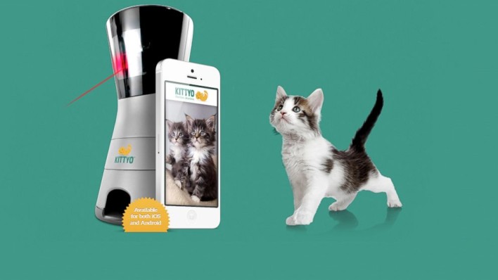 Kittyo Lets You Play With Your Cat When You're Away