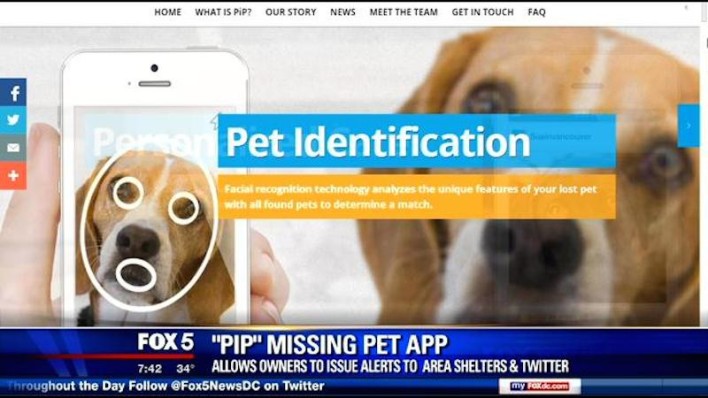 Facial Recognition App Helps Lost Pets Get Back To Owners