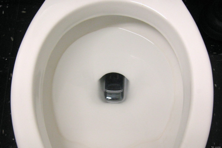 Man Drops Smartphone In Toilet And Goes After It