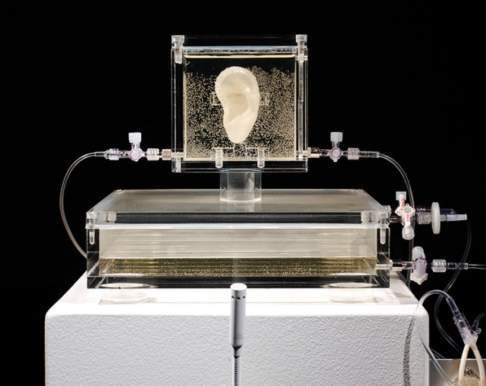 3D Printer Helps ‘Regrow’ Van Gogh’s Ear