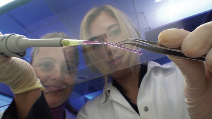 Scientists 3D Bioprint Artificial Blood Vessels