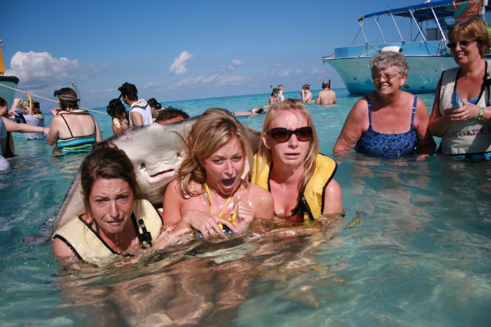 15 Of The Funniest Photobombs