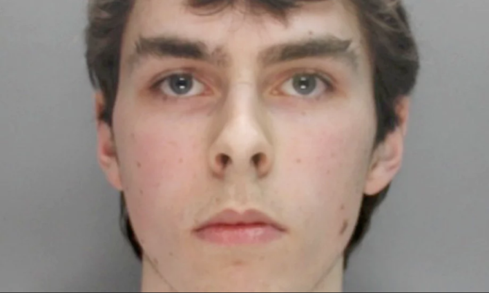Teenage Hacker Jailed For Masterminding Attacks Against Sony and Microsoft