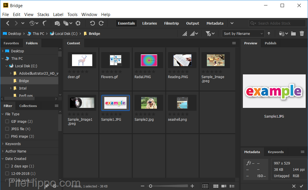 Adobe Bridge CC Image Manager