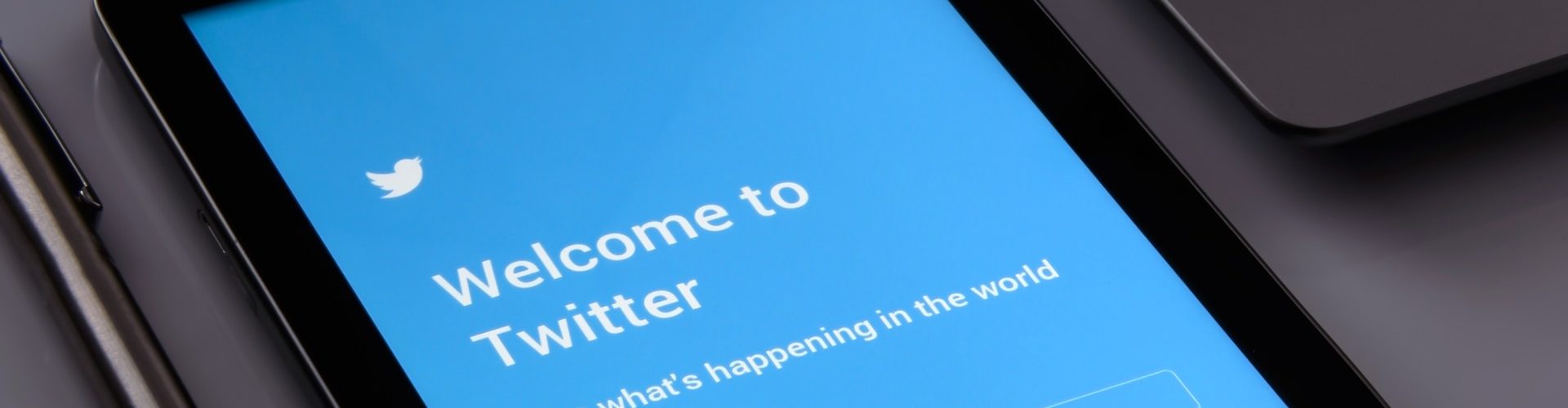Key steps for a healthier Twitter revealed
