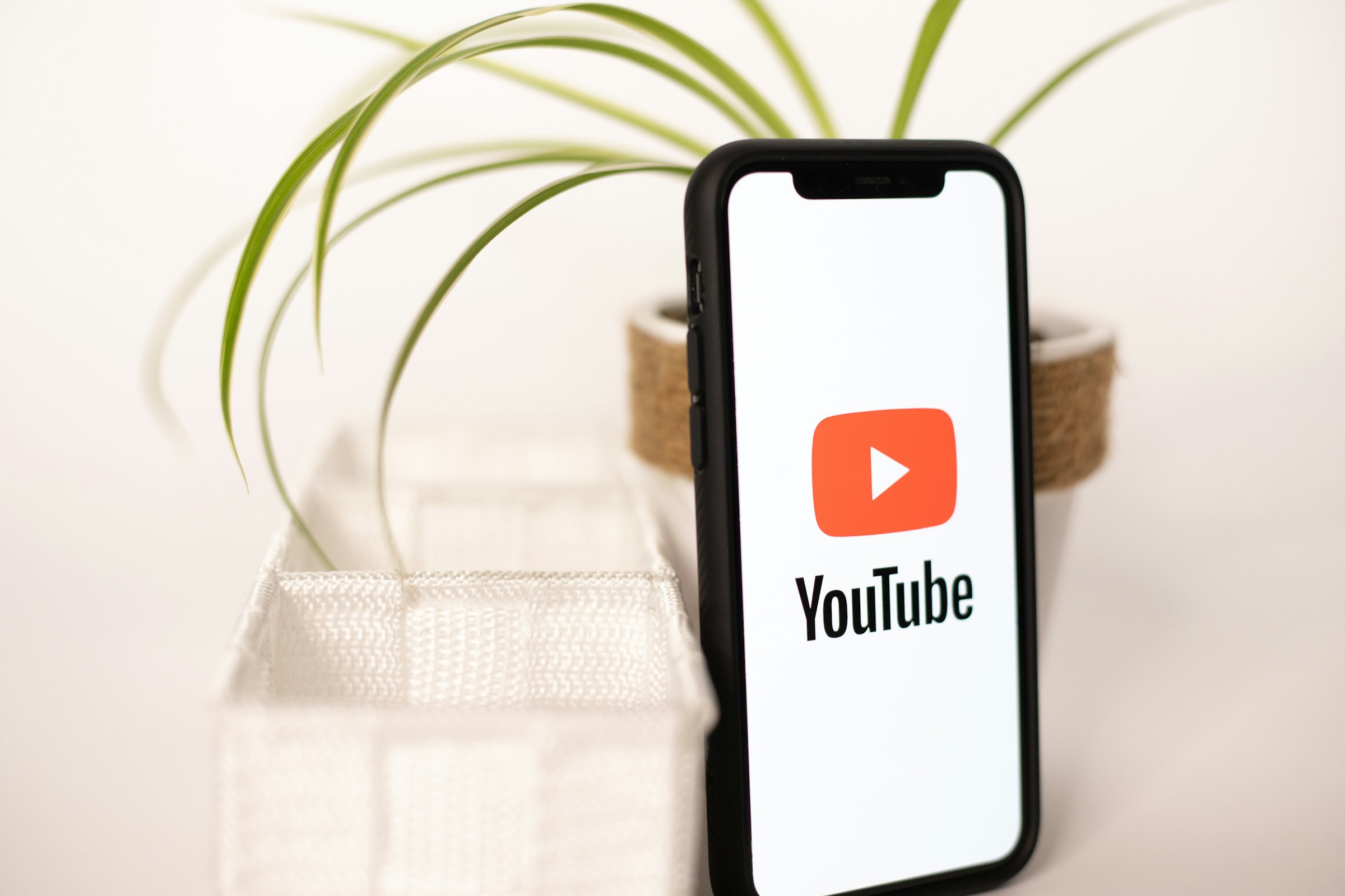 YouTube Music free users lose access to lryics
